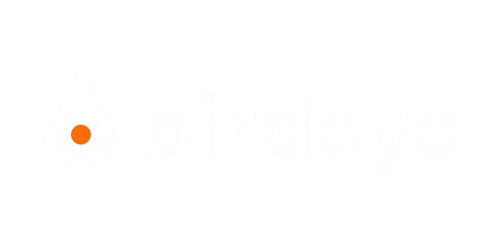 Birdeye